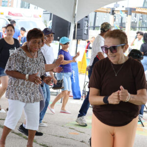 Indusfoundation Cooksvillefestival 08